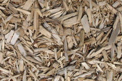 biomass boilers Whiteshill